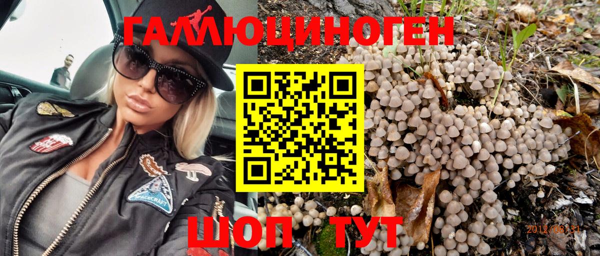 Каспийск  Галлюциногенные грибы Magic Shrooms  Вход с VPN 